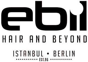 Ebil Eğitim Yazılım Danışmanlık logosu
