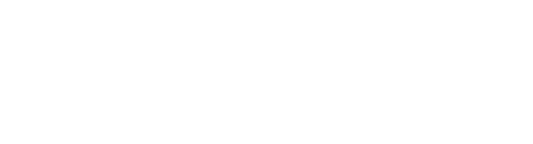 Nakkaş Denizcilik ve Ticaret logosu