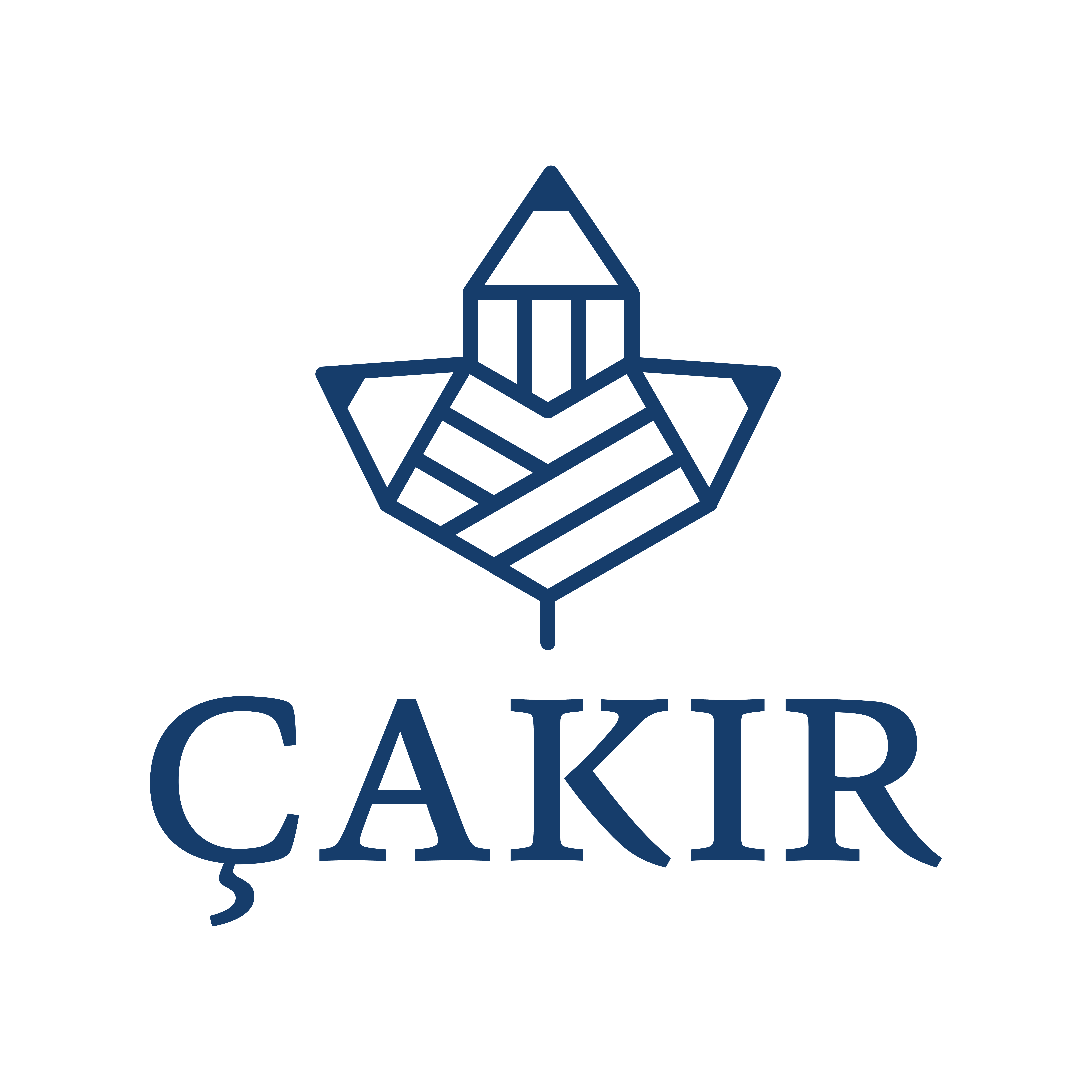 Özel Çakır Okulları logosu