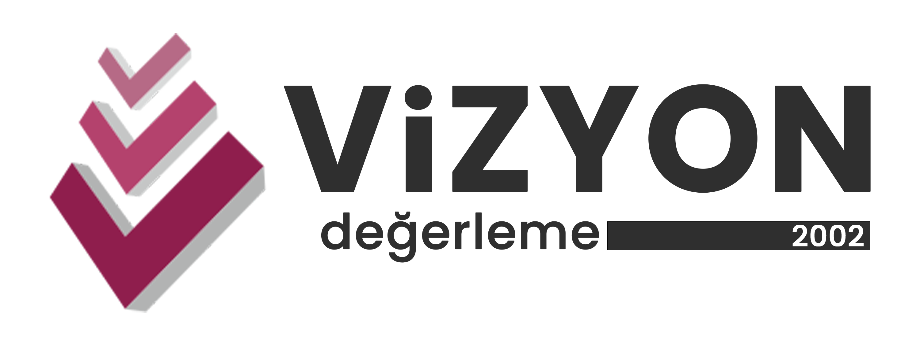 Vizyon Taşınmaz Değerleme ve Danışmanlık logosu