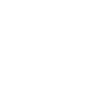 Bursa Teknik Üniversitesi logosu